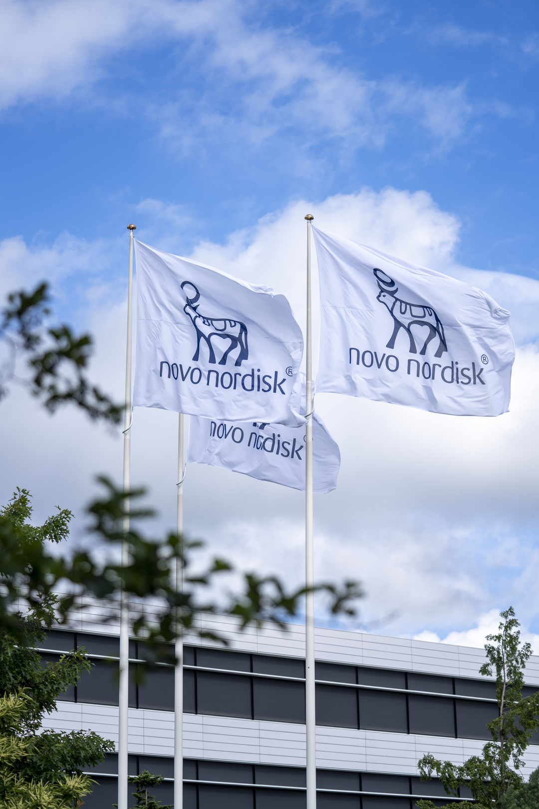 Novo Nordisk Update